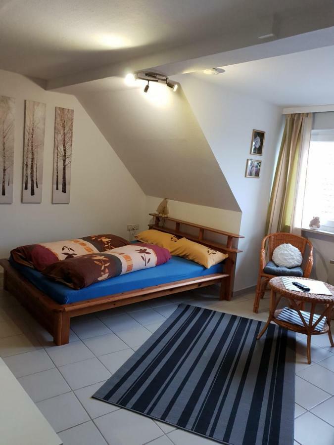 Ebeling Under Stars Apartment Dassel